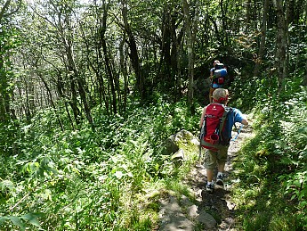 08-On-the-trail-to-Stan-Murray-Shelter.j