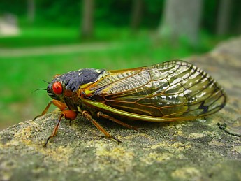 IMG_7012.jpg