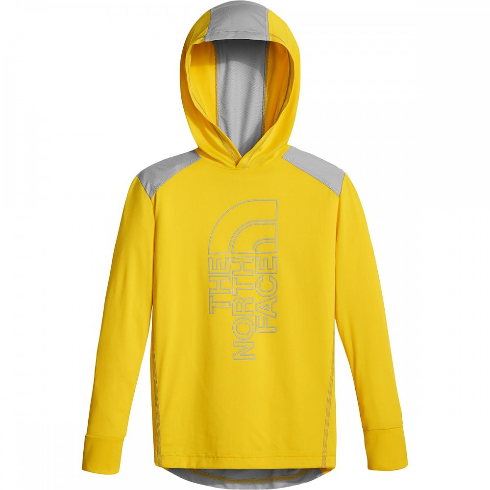 photo: The North Face Boys' Reactor Hoodie long sleeve performance top