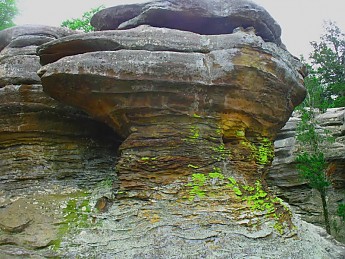 IMG_7018.jpg