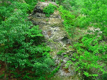 IMG_7024.jpg