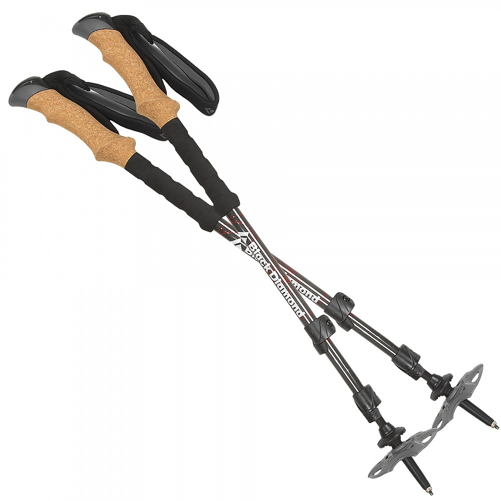photo: Black Diamond Alpine Carbon Cork rigid trekking pole