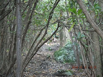 2018_1006_12150000.jpg