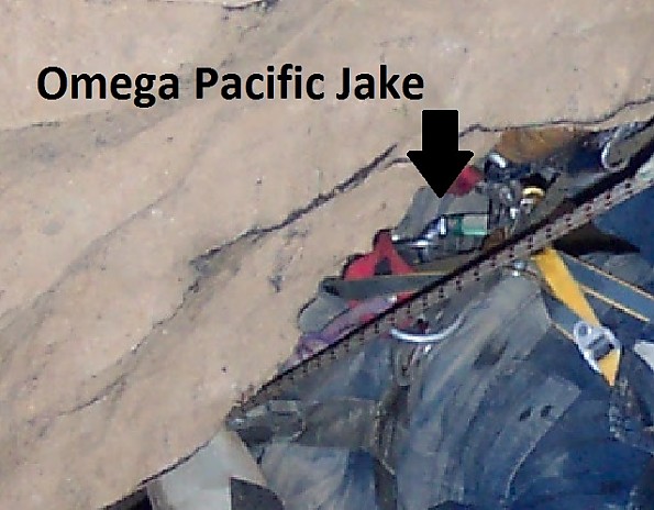 Omega-Jake.jpg