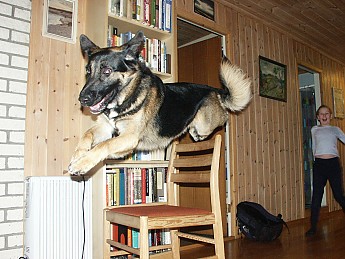 PICT0008.jpg