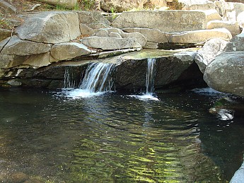 DSC01683.jpg