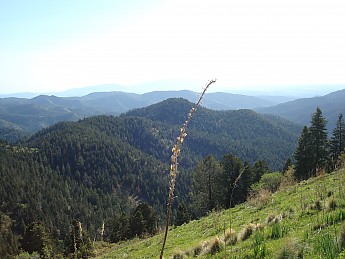 DSC01696.jpg