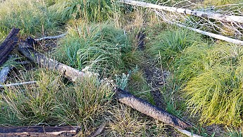 20160831_080807.jpg