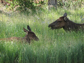 IMG_2450.jpg