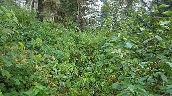 20160820_100435.jpg