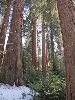 IMG_4009.jpg