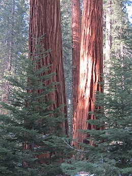 IMG_4005.jpg