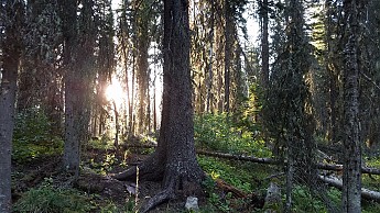 20160828_075117.jpg