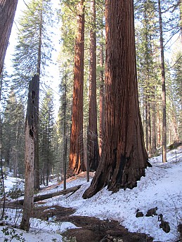 IMG_3997.jpg