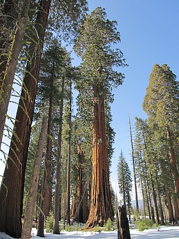 IMG_3990.jpg