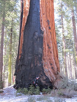 IMG_3983.jpg