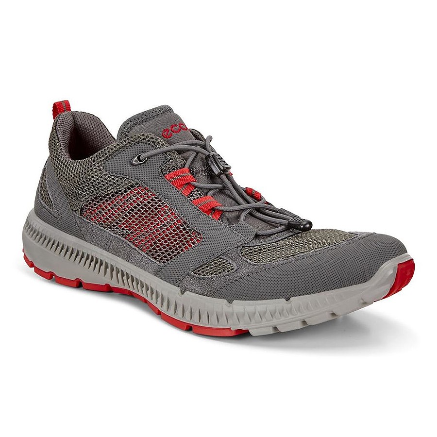 photo: Ecco Terracruise II trail shoe