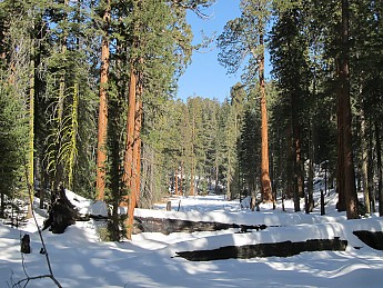 IMG_3976.jpg