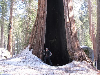 IMG_3971.jpg