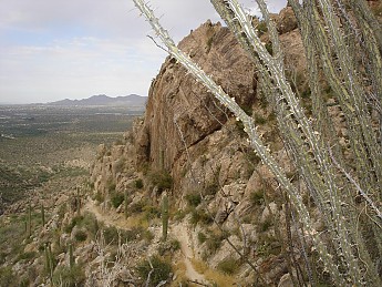 Along-the-trail-to-Romero-Pools.jpg