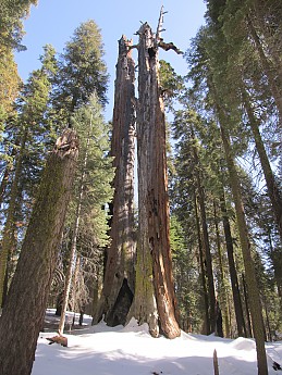 IMG_3965.jpg