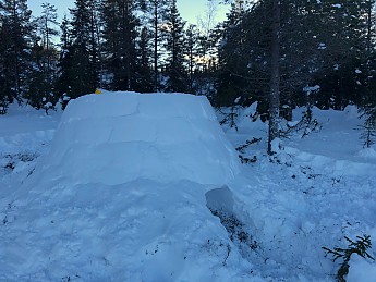 IMG_0054.jpg