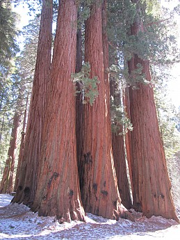 IMG_3912.jpg