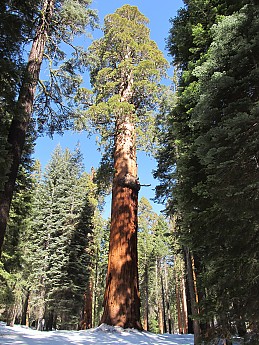 IMG_3910.jpg