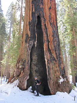 IMG_3904.jpg