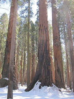 IMG_3896.jpg