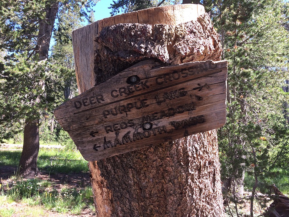 Sawyer Permethrin Insect Repellent Treatment for Clothing, Gear, and