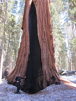IMG_3890.jpg