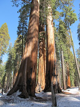 IMG_3883.jpg