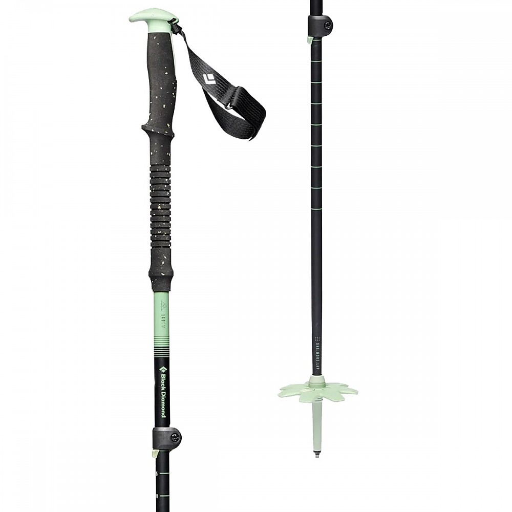 photo: Black Diamond Expedition 3 alpine touring/telemark pole
