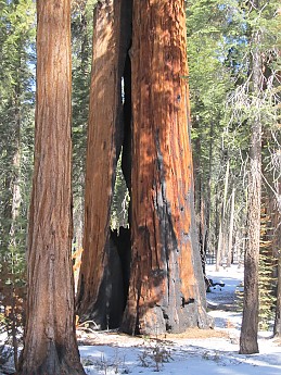 IMG_3874.jpg