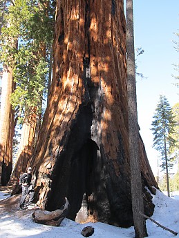 IMG_3867.jpg