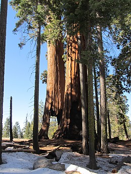 IMG_3864.jpg