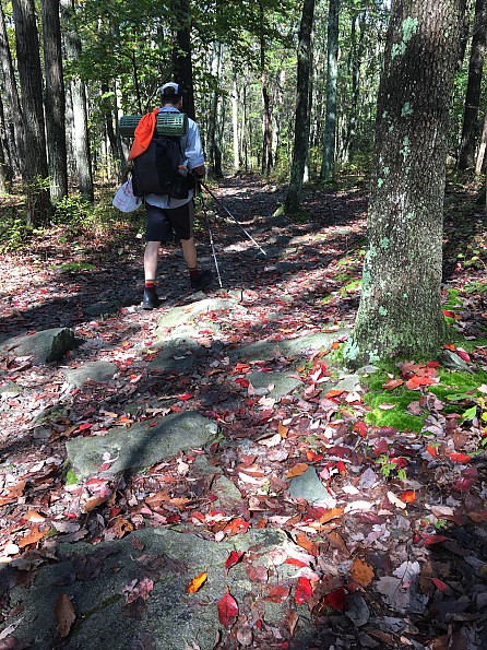 My trail co backpack light clearance 50l