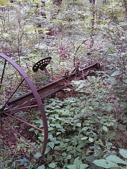 Wishing-Well-Trail-3-.jpg