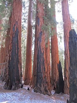 IMG_3935.jpg