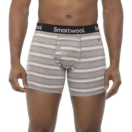 photo of a boxer/brief/bikini