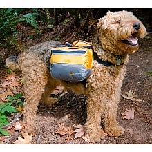 photo: REI Adventure Dog Pack dog pack