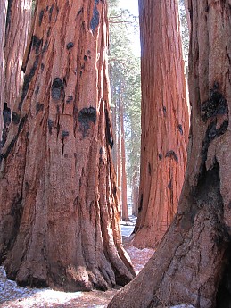 IMG_3932.jpg