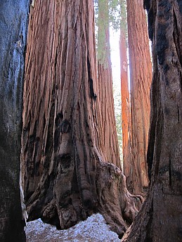 IMG_3922.jpg
