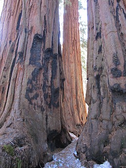 IMG_3921.jpg