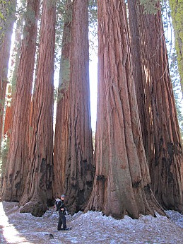 IMG_3918.jpg