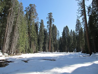 IMG_3964.jpg