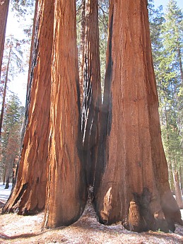 IMG_3963.jpg