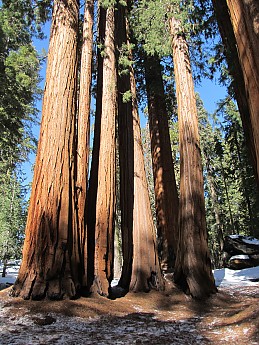 IMG_3957.jpg