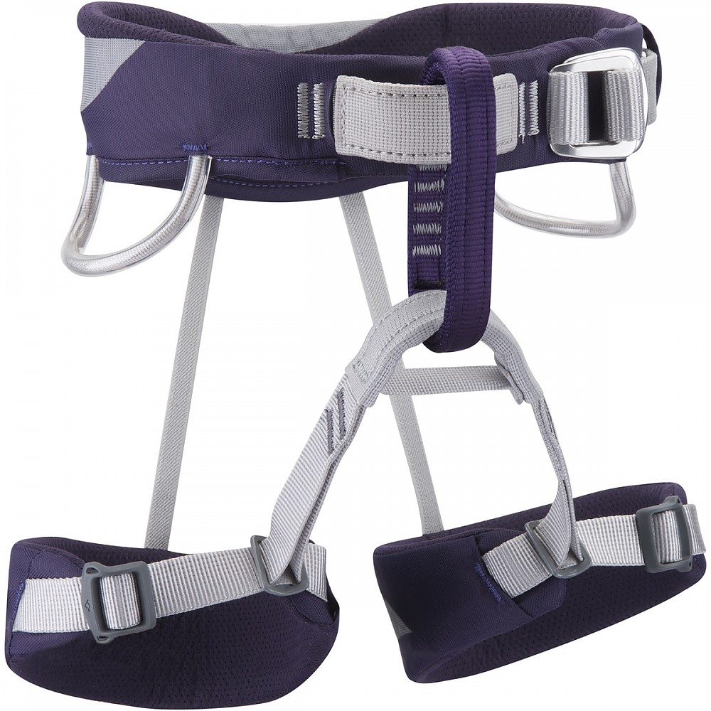 photo: Black Diamond Wiz Kid sit harness